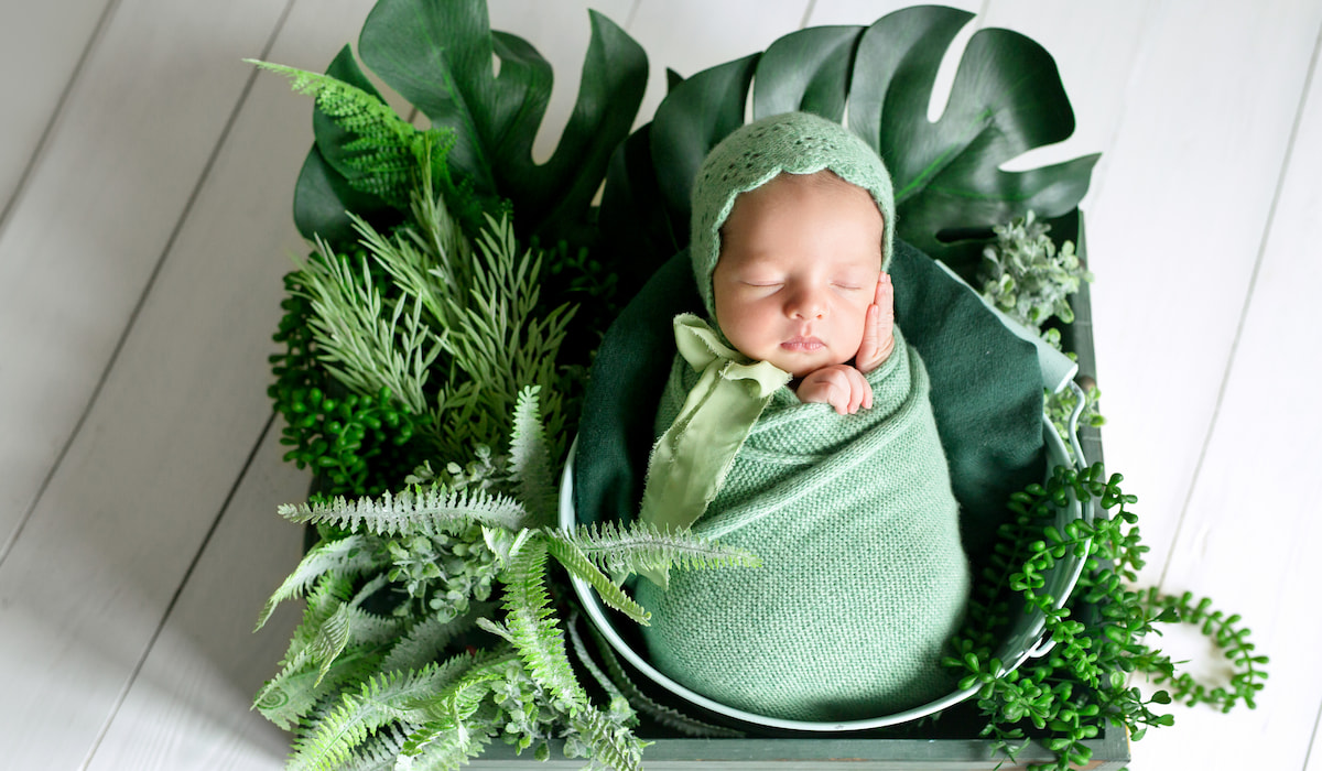 Baby-is-swaddled-in-a-woolen-diaper-and-sleeps-sweetly-among-tropical-plants