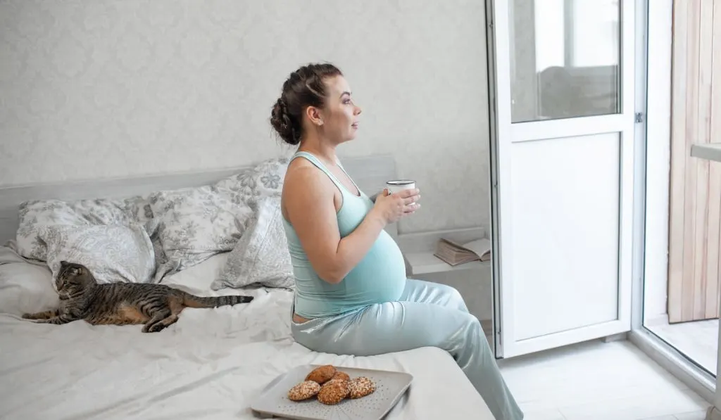 Pretty pregnant woman eat cookies, drink tea resting in bed in the bedroom 