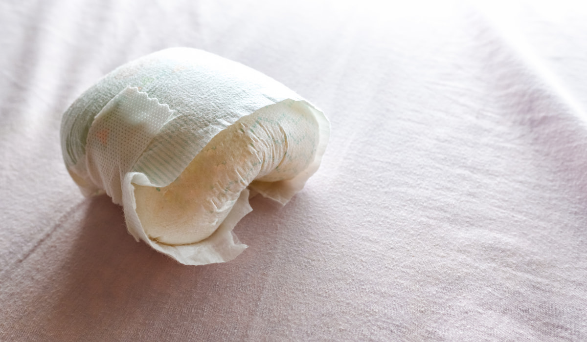 5 Diaper Pail Alternatives You Should Know 2022 Belly Bumps and Babies