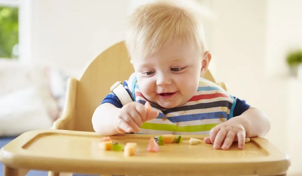 baby boy eating different fruits in high chair