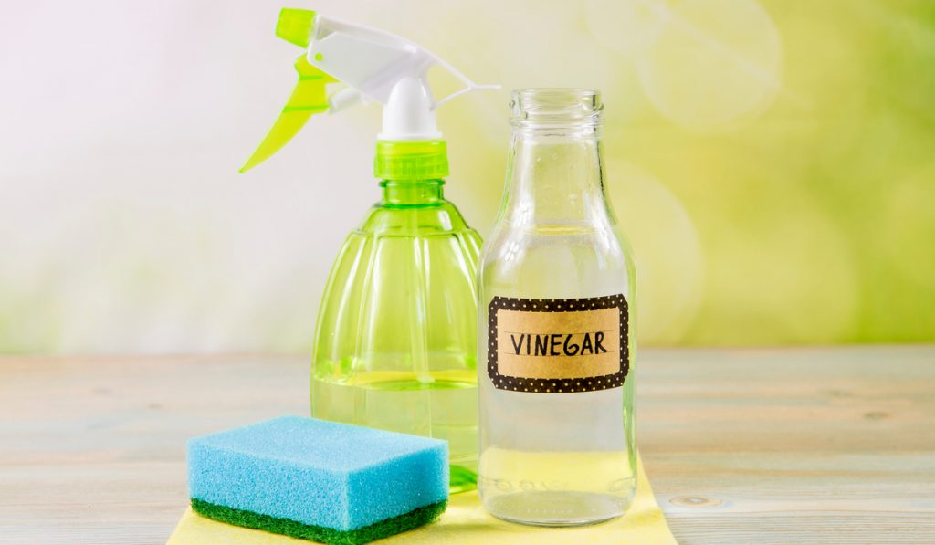 bottle of white vinegar spray and sponge on bright yellow background 