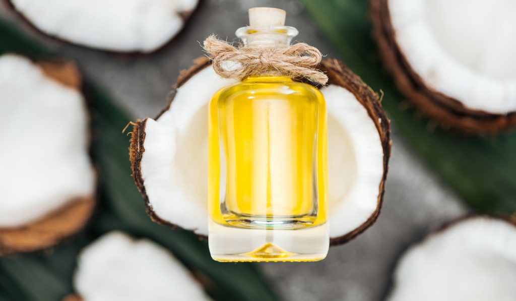 selective focus of coconut oil in bottle on white coconut half
